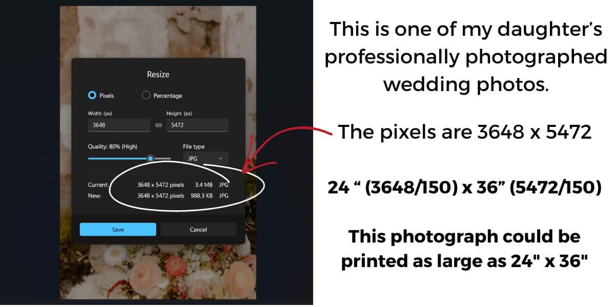 Portrait Size Computer Printing Digital Photos on Fabric – Min PPI & Pixel Size – Photo Quilt ...